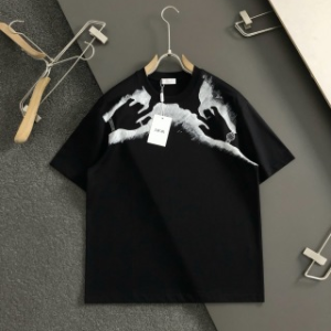 「#3077」Dior Spring/Summer White Two-Hand Direct Ink Jewelry Printed T-shirt