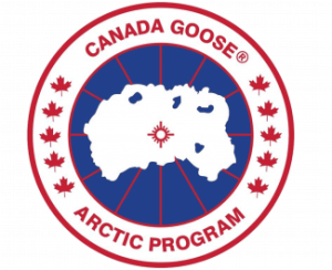 Canada goose