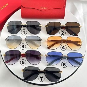「#2938」Cartier sunglasses