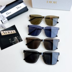 「#4221」Dior Sunglasses